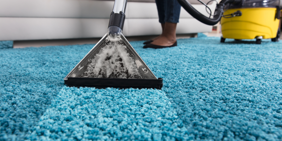 Winter Carpet Care
