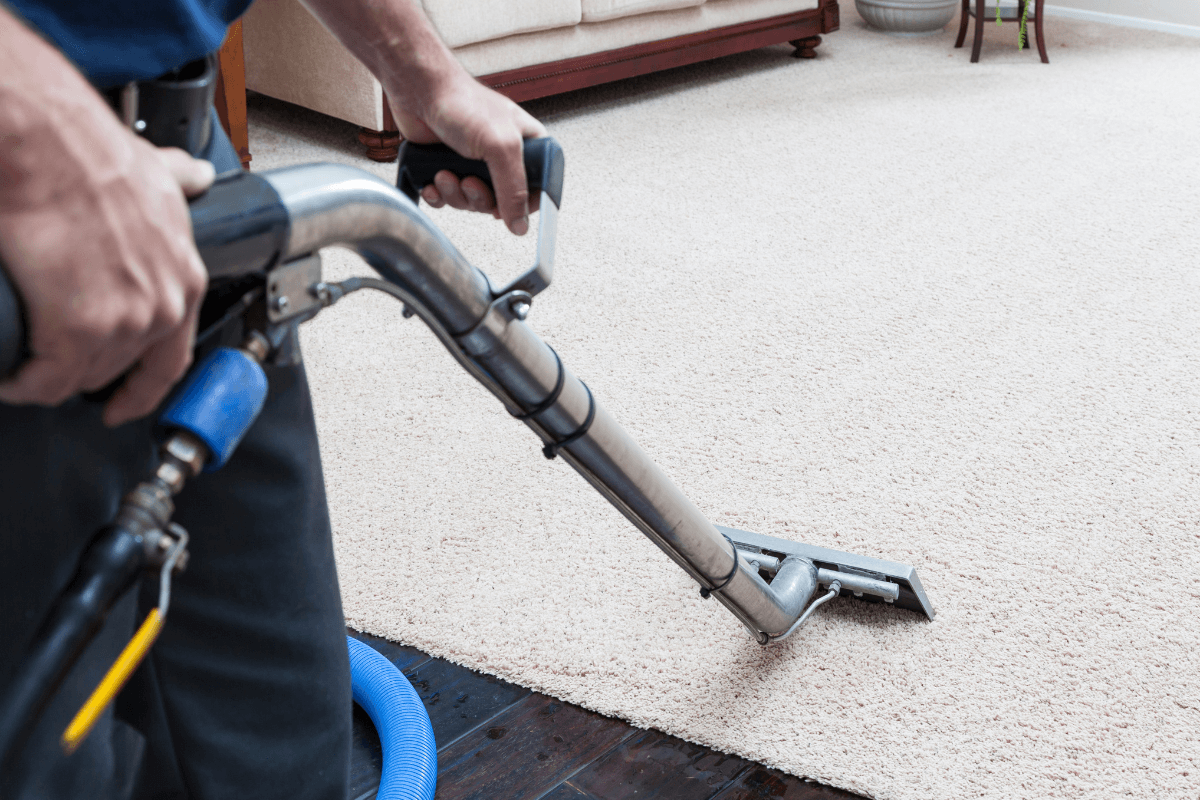 carpet steam cleaning Gowanbrae